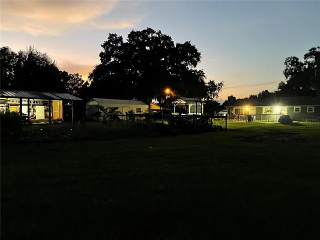 Back yard at night