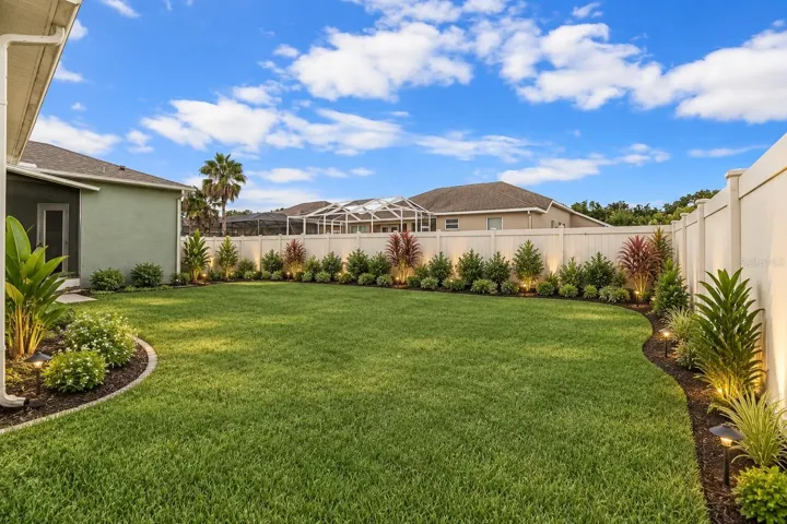 Staged backyard 2