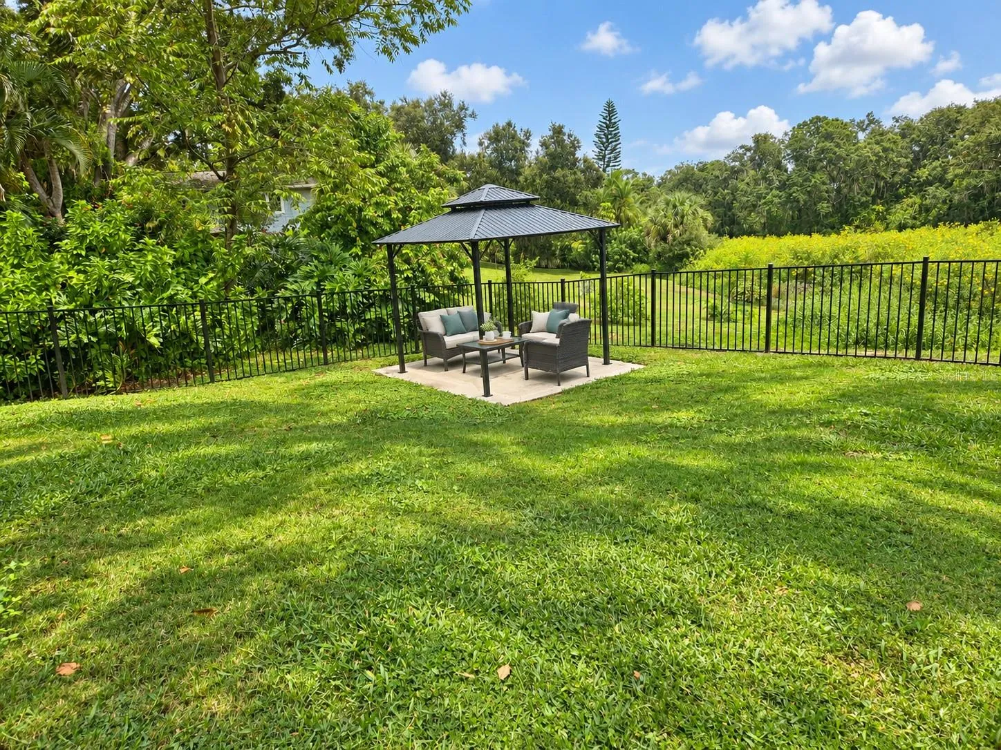 Spacious Back yard