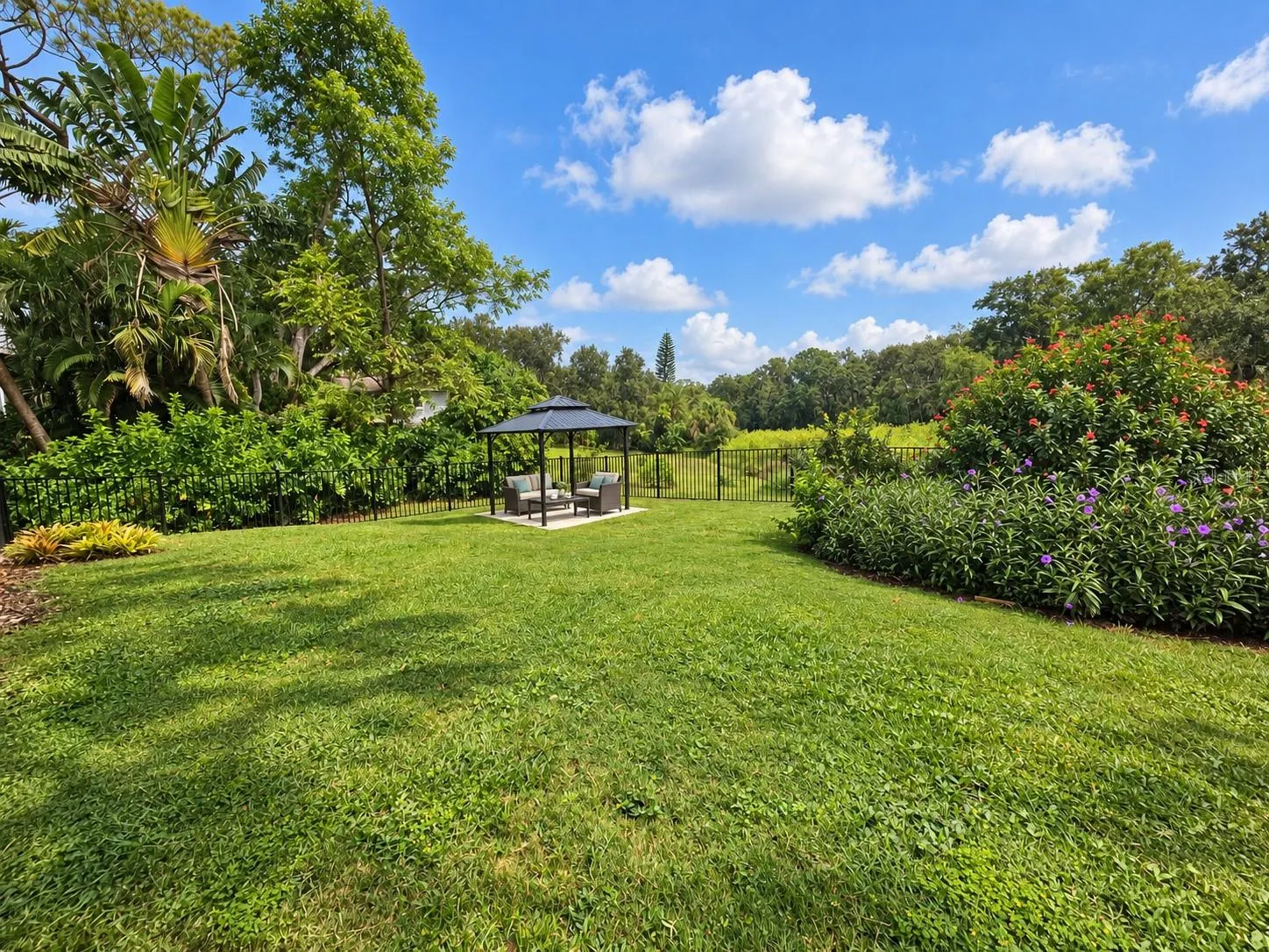 Generous Back yard
