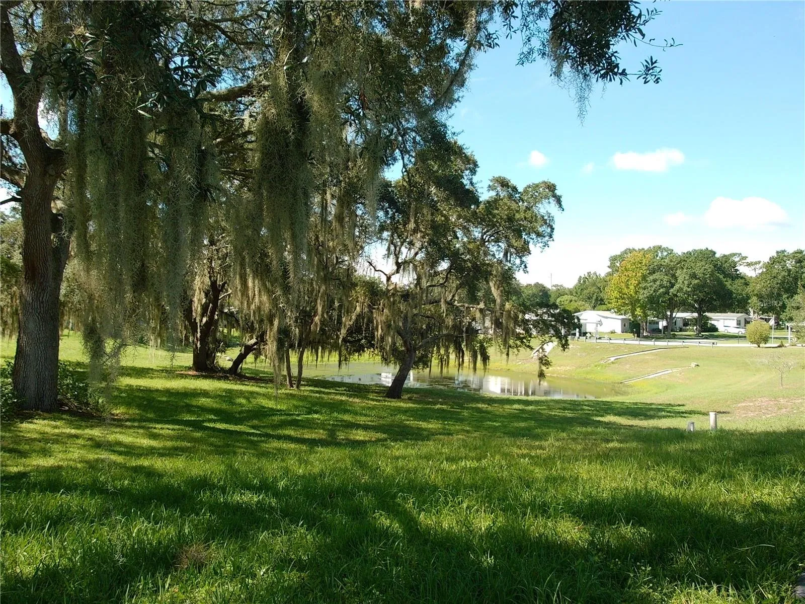 Backyard View
