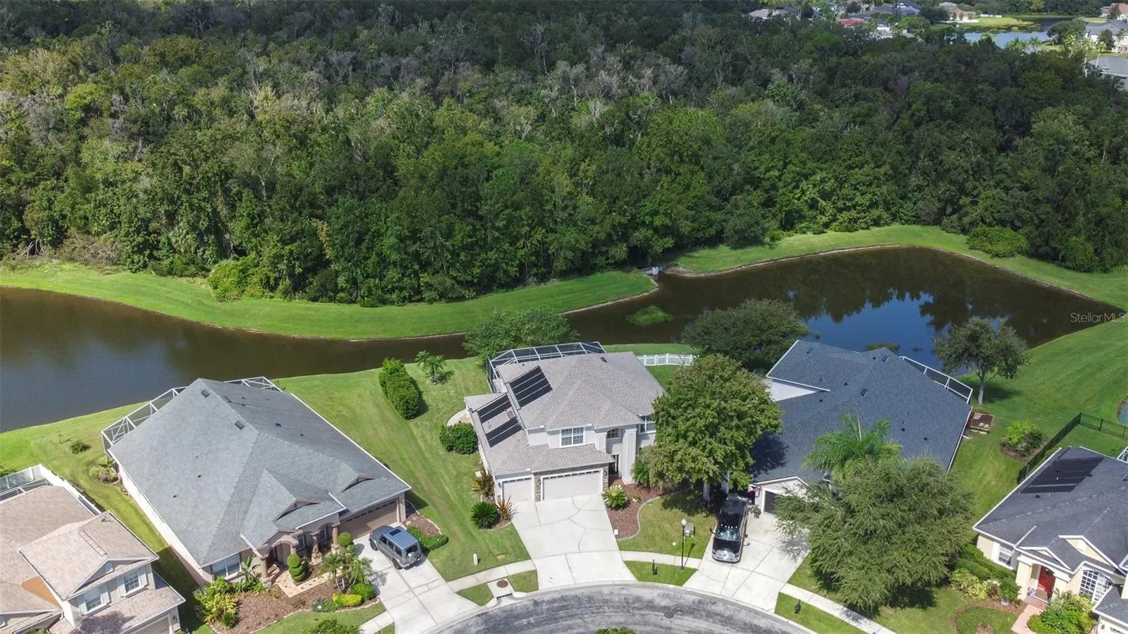 Arial front view