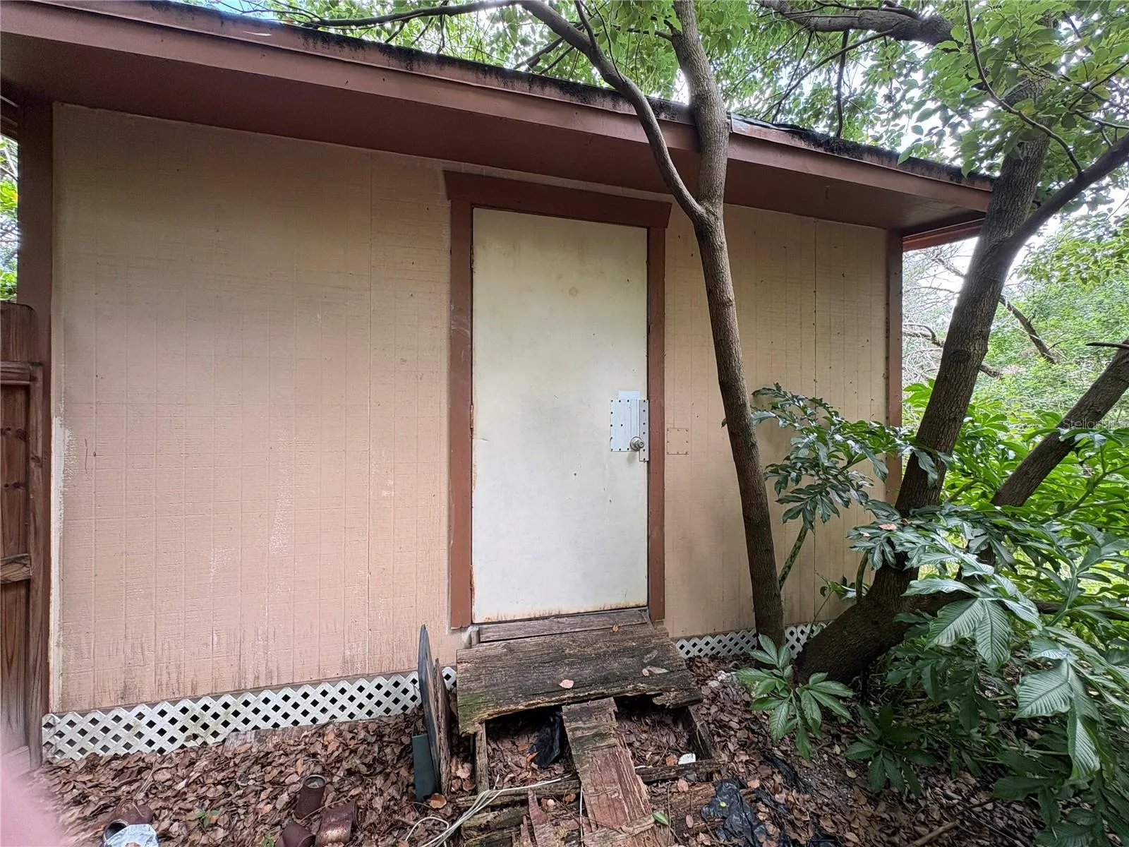 SHED