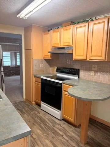 KITCHEN VIEW 1