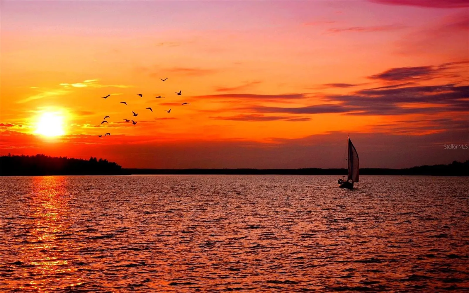 Your Future Sunsets