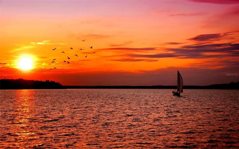 Your Future Sunsets