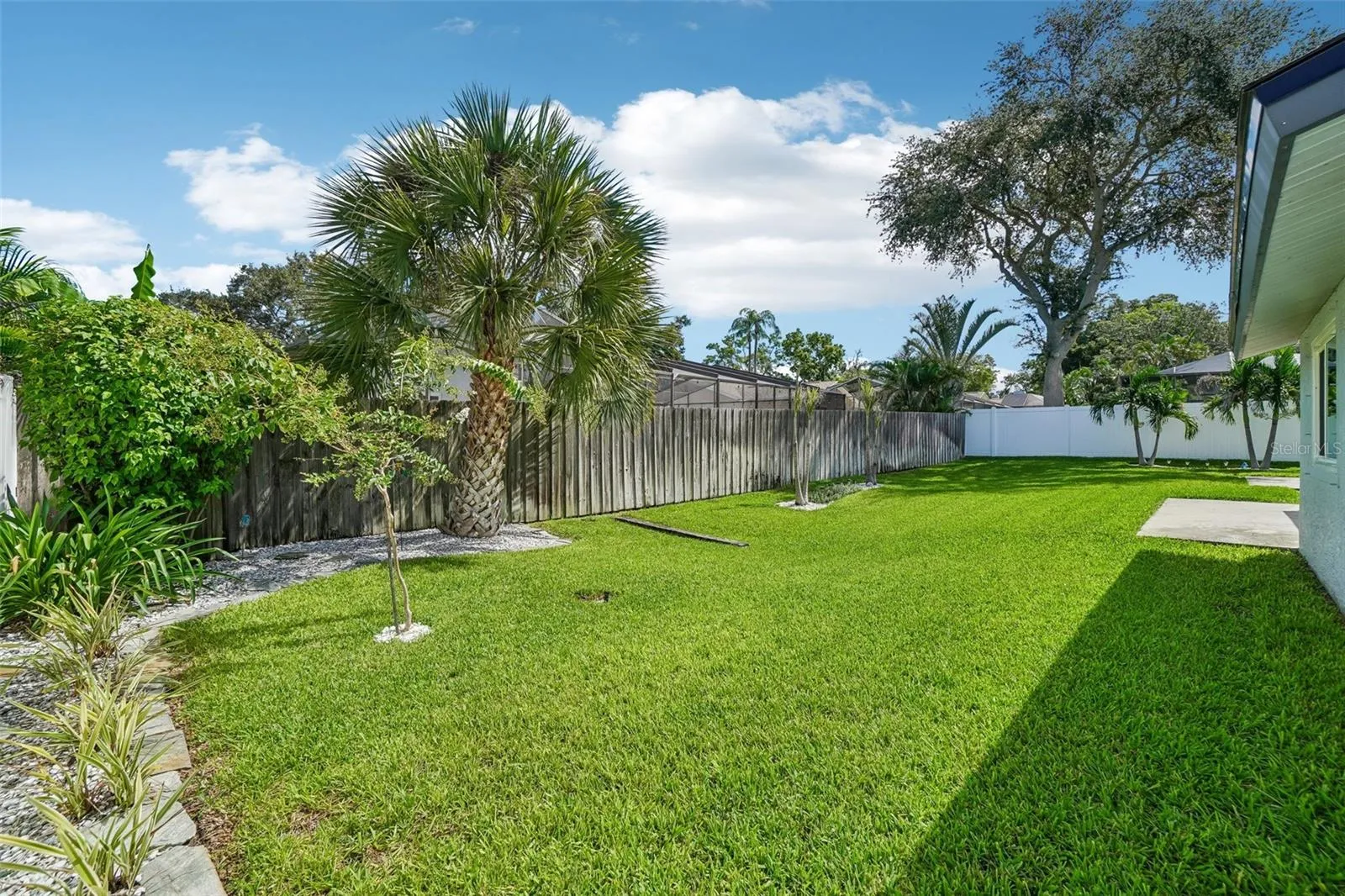 Backyard – The generous backyard offers a broad stretch of lawn bordered by mature palms and established landscaping, providing plenty of open outdoor space.