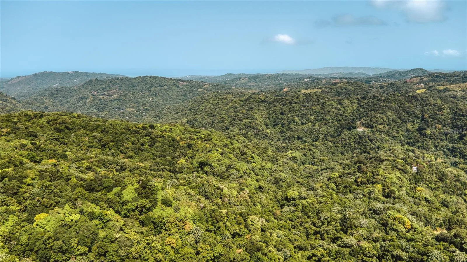 West Coast Panorama