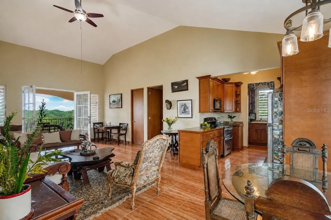 Open Living and Kitchen