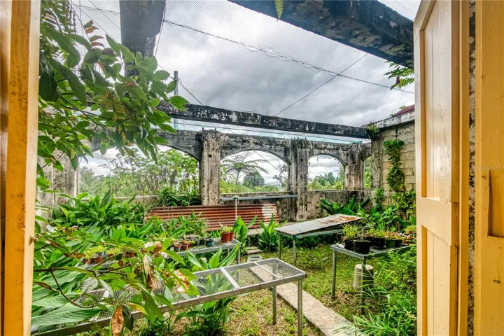 Greenhouse and Nursery