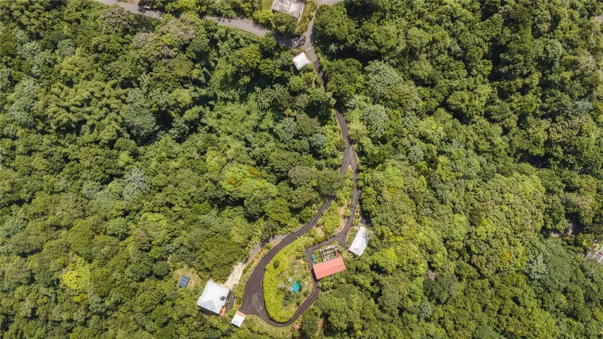 20 Acres Canopy