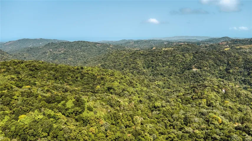 West Coast Panorama