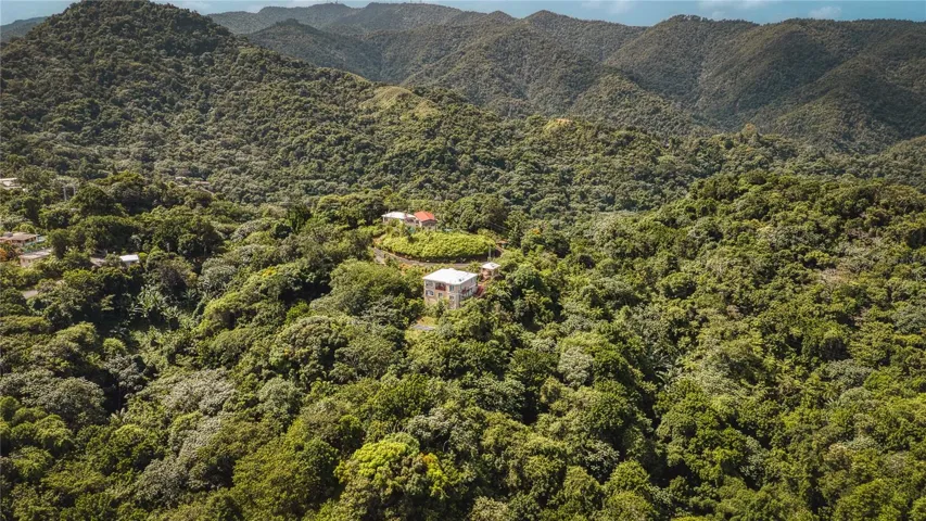 Mountaintop Compound