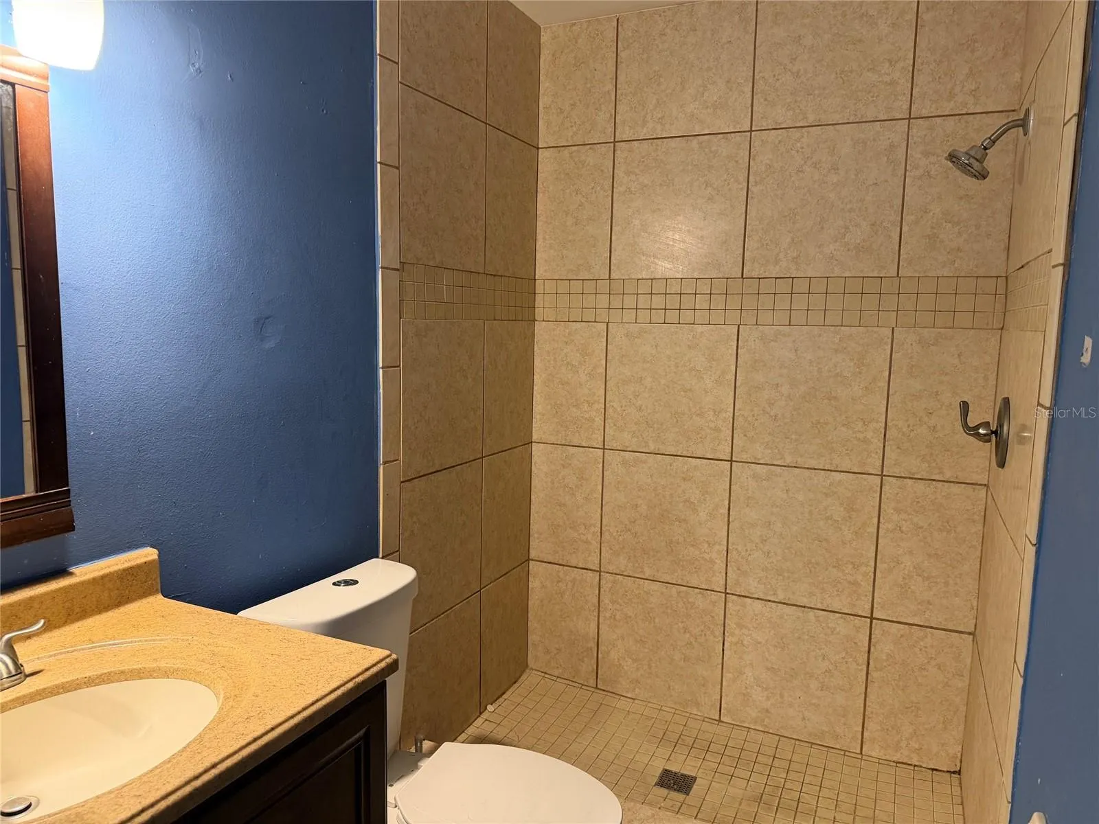 Primary shower
