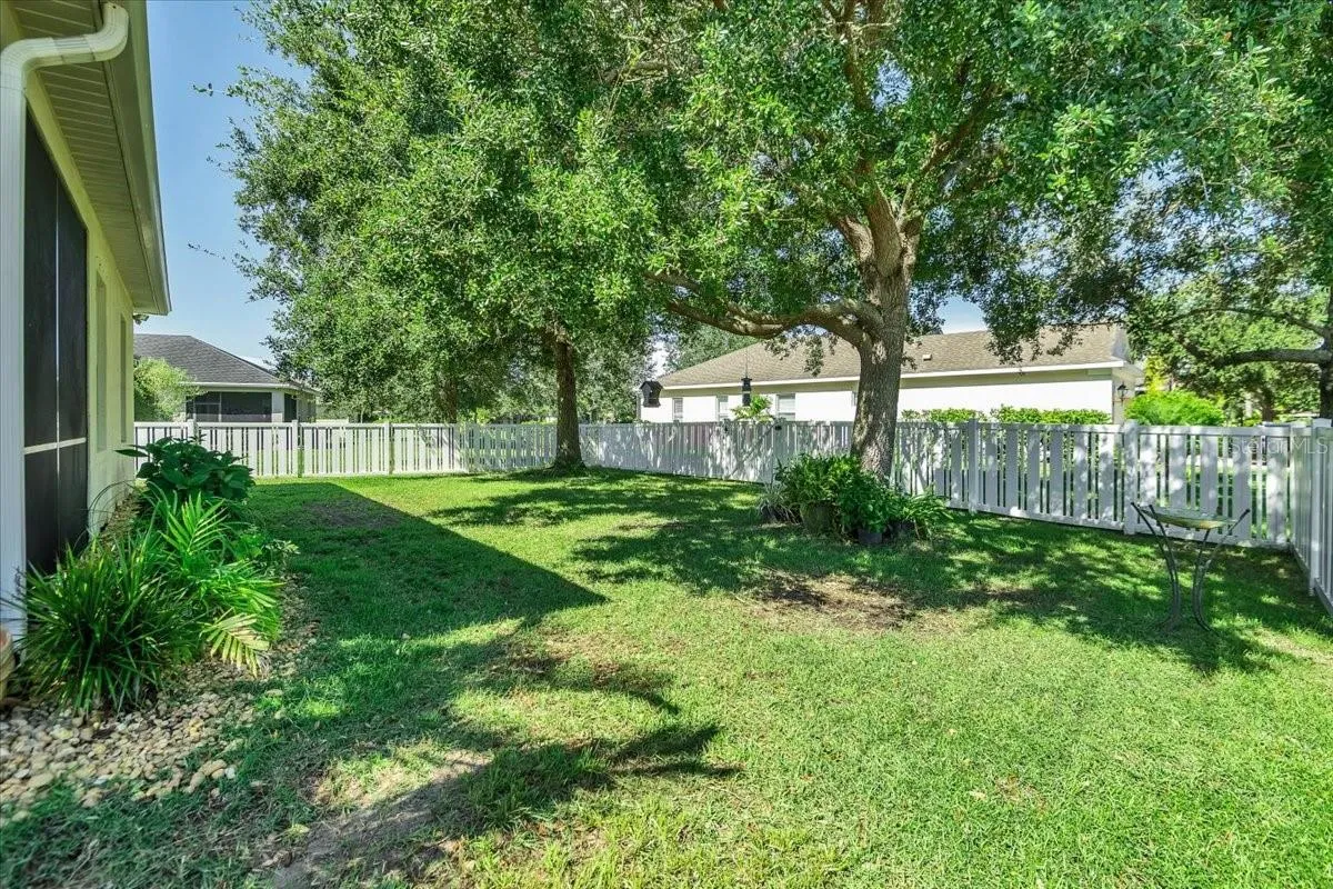 Fenced Backyard