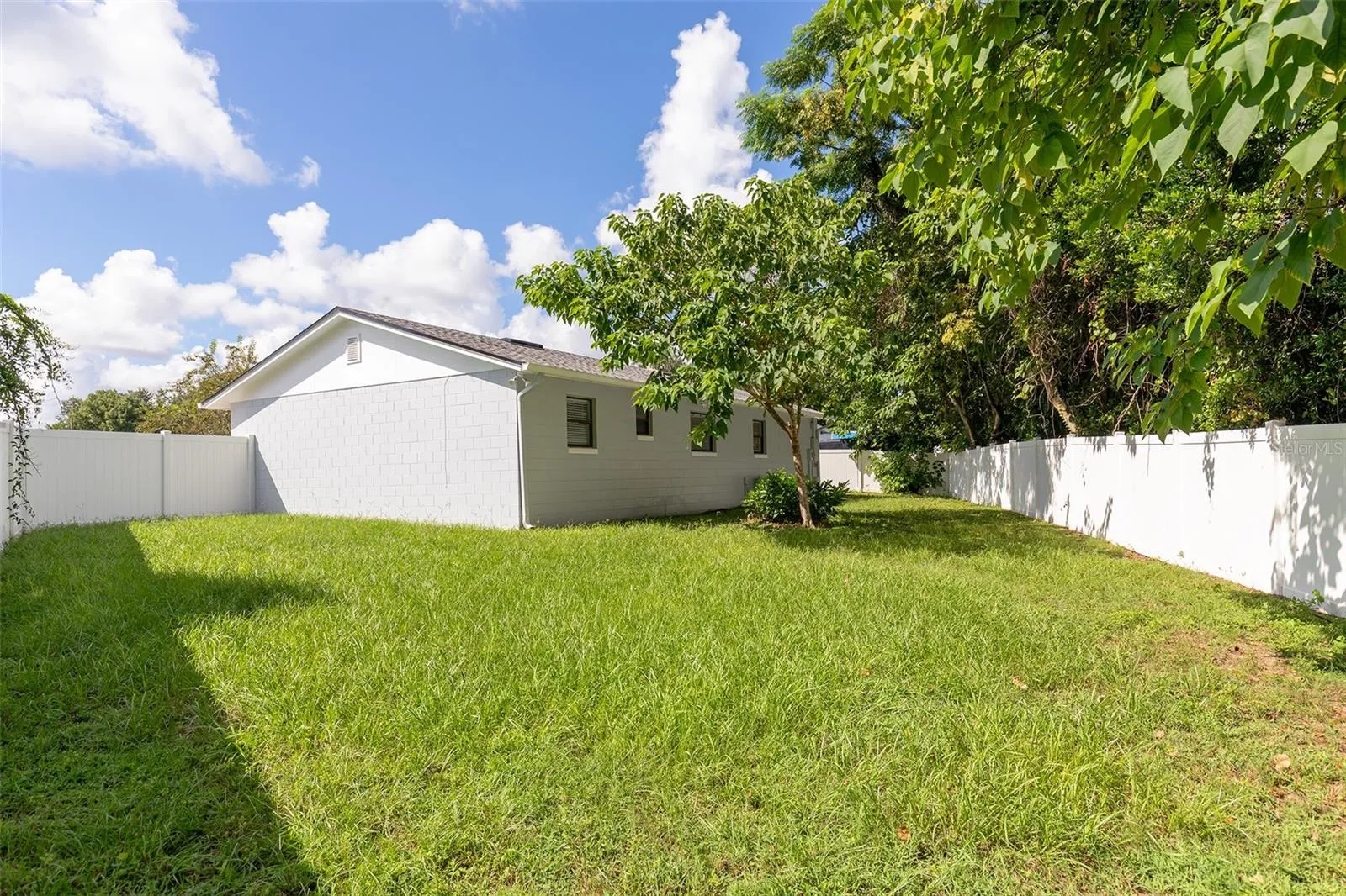Big fenced yard