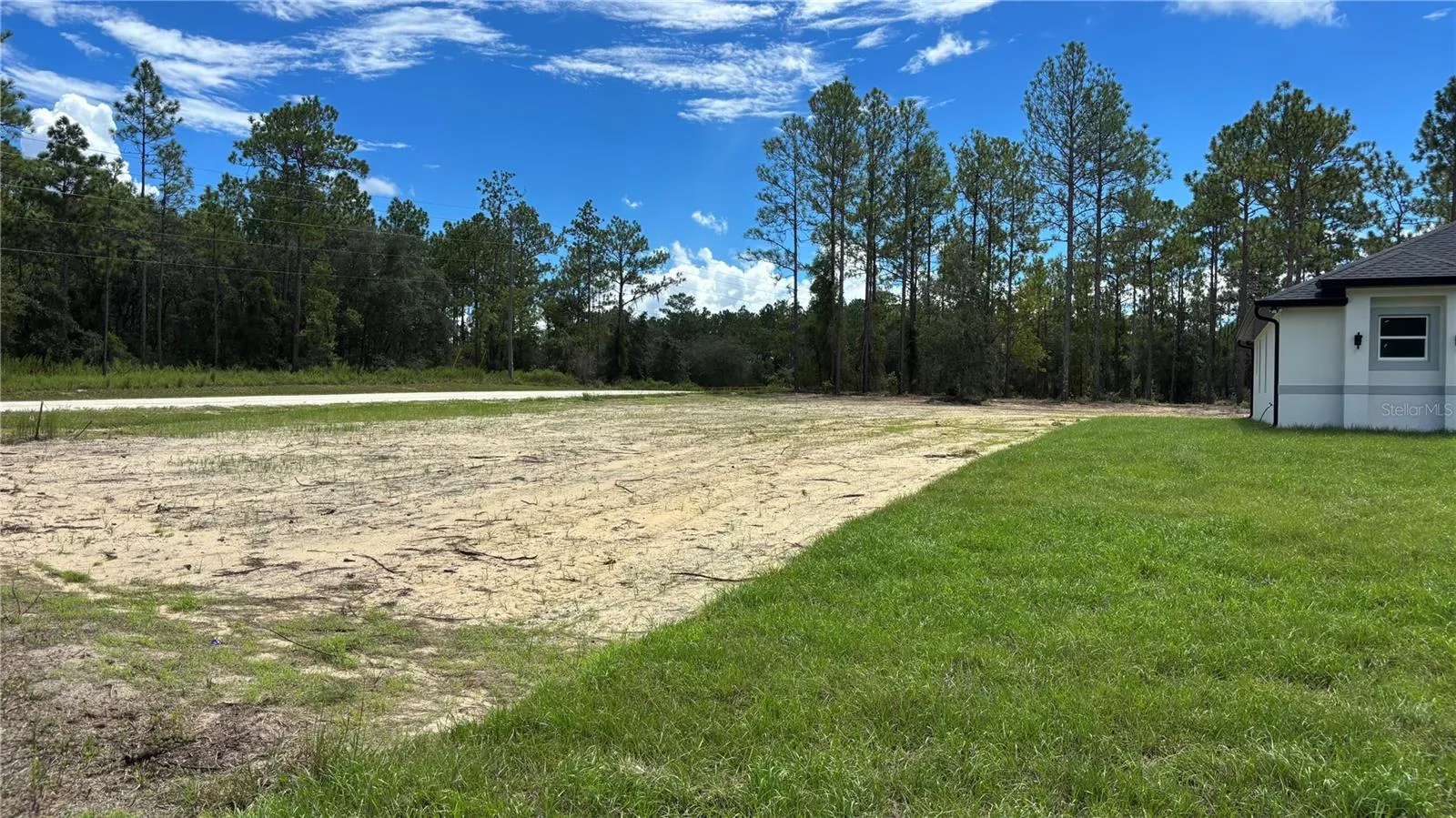 left side lot