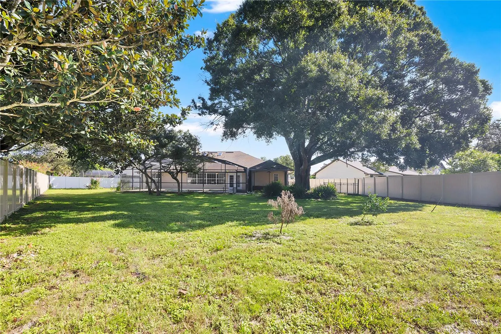 Fenced Backyard