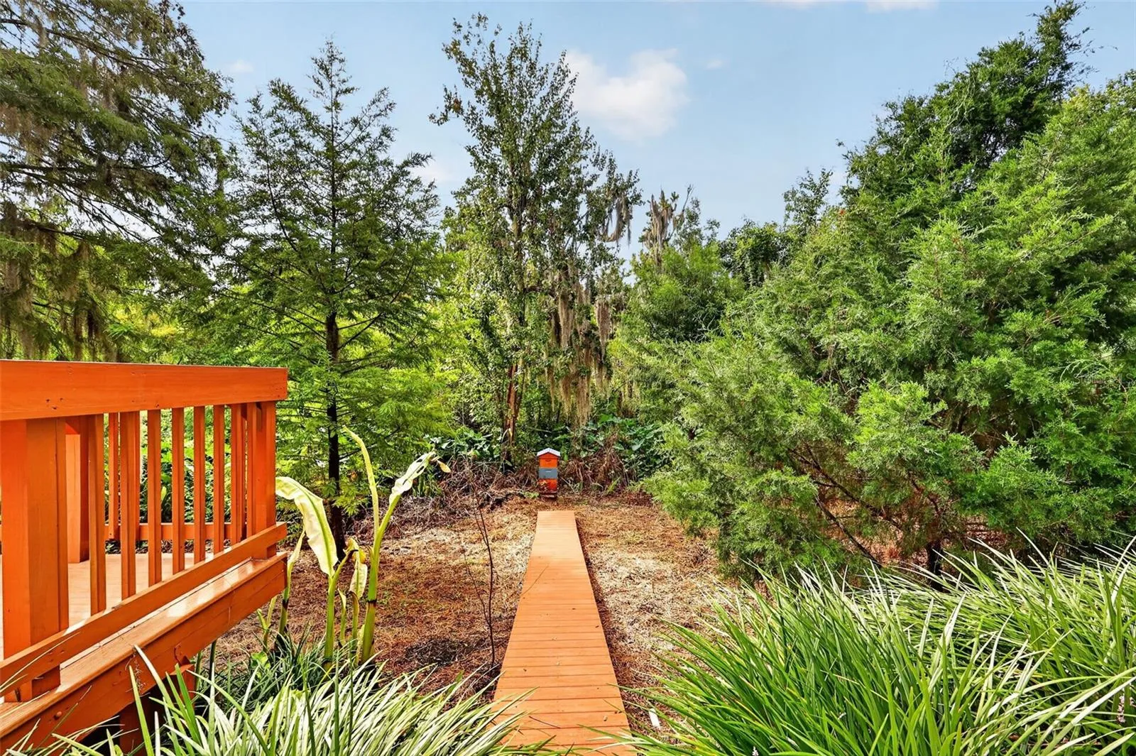 Backyard walkway into dry canal area and nature preserve.