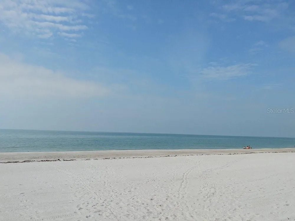 Just across to road to the Gulf of Mexico