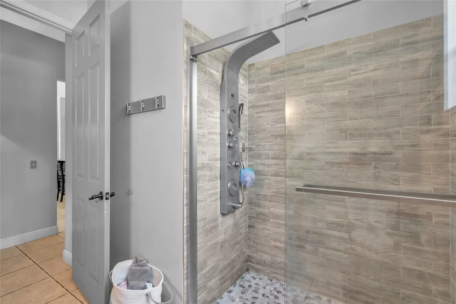 Guest bathroom/shower