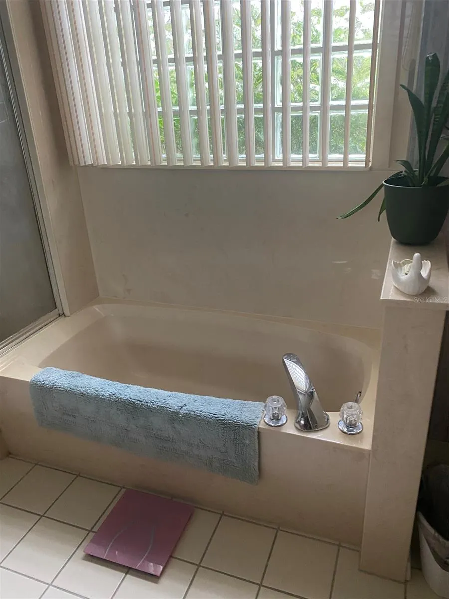 Primary bathroom with tub