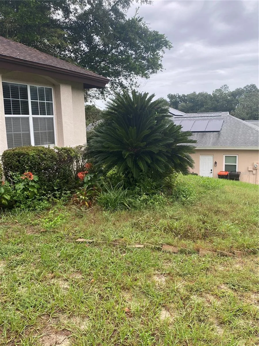 Side of the house