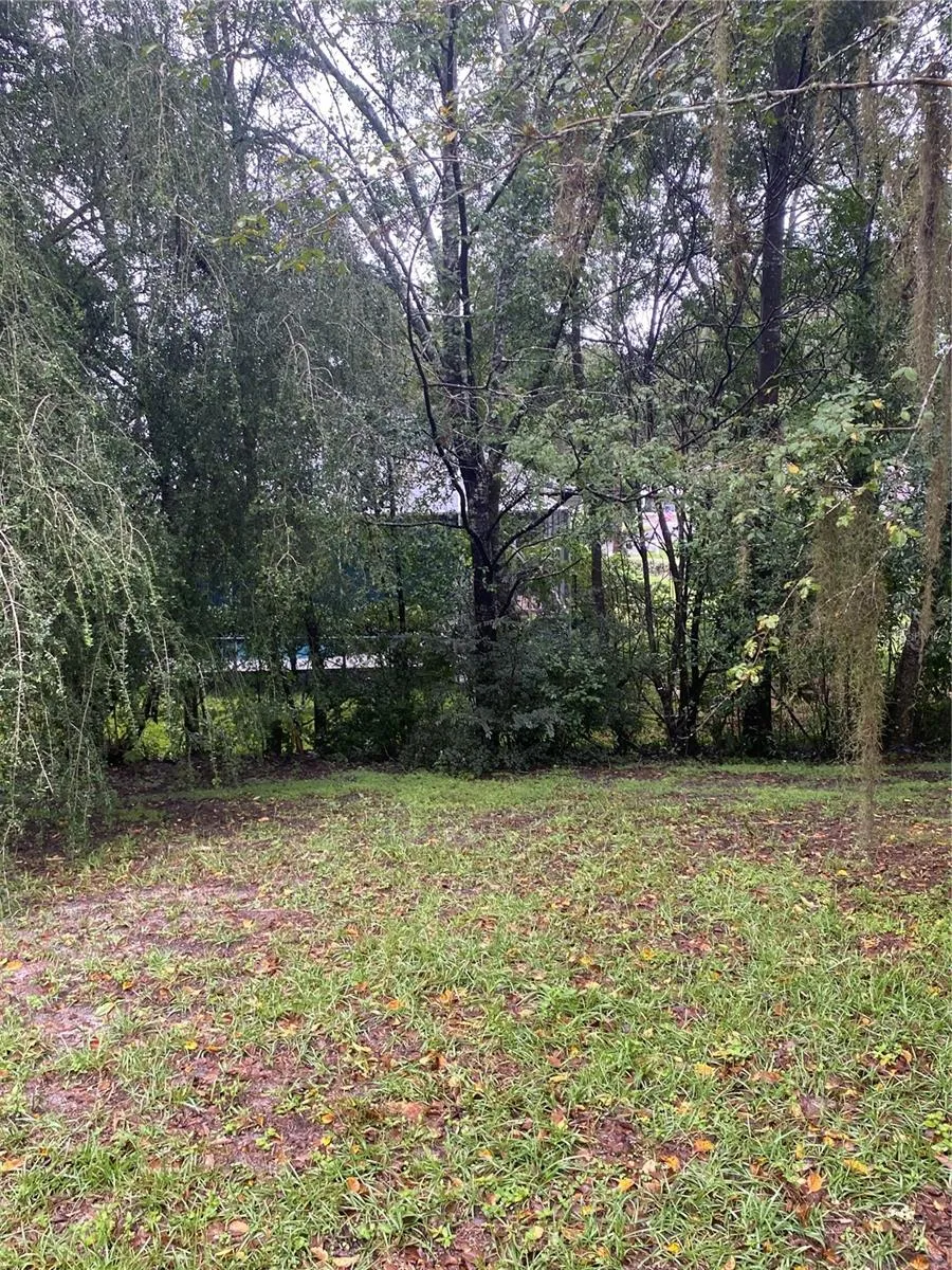 Backyard views