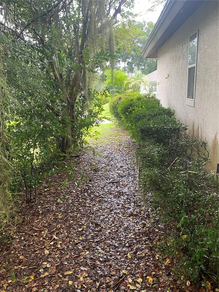 Side of the house walkway.