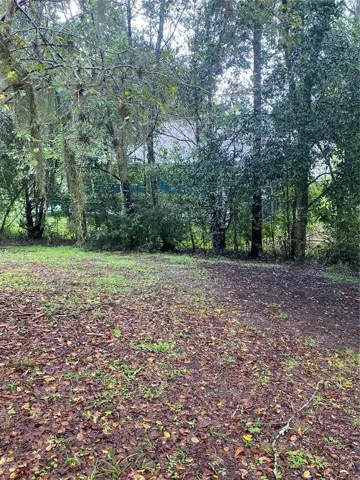 Large backyard views with mature trees