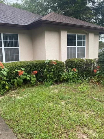Front of the house