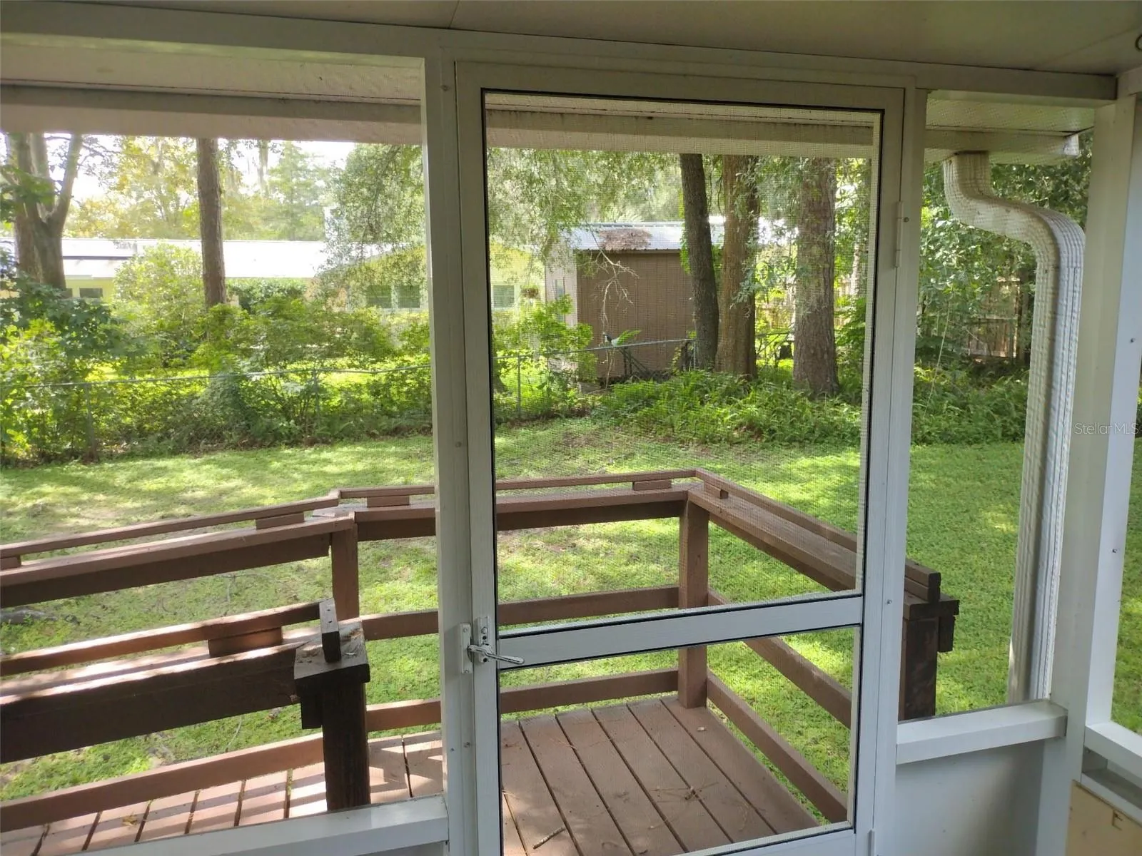 Screened Back Patio Views