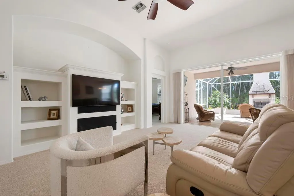 Built-In Entertainment