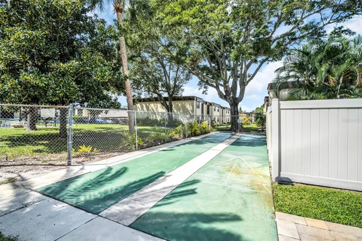 Shuffleboard
