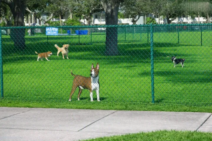 DOG PARK
