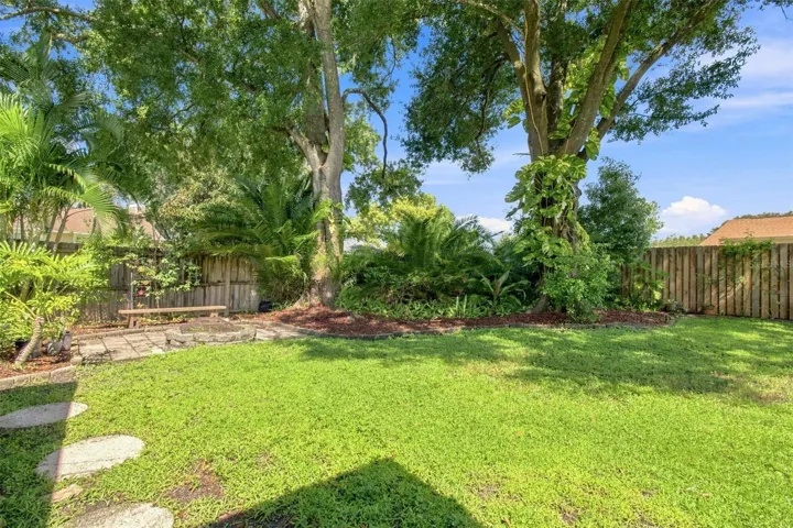 Backyard - Firepit