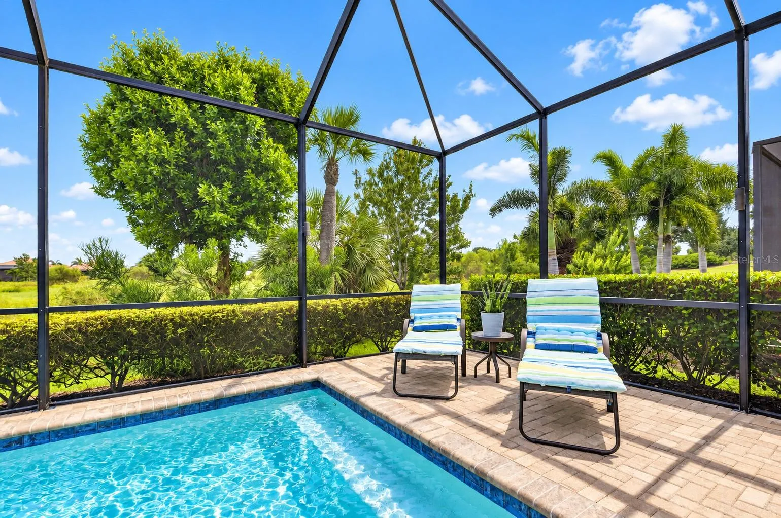 Heated Saltwater Pool/Spa