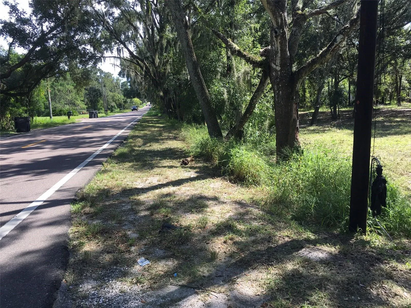 Road View