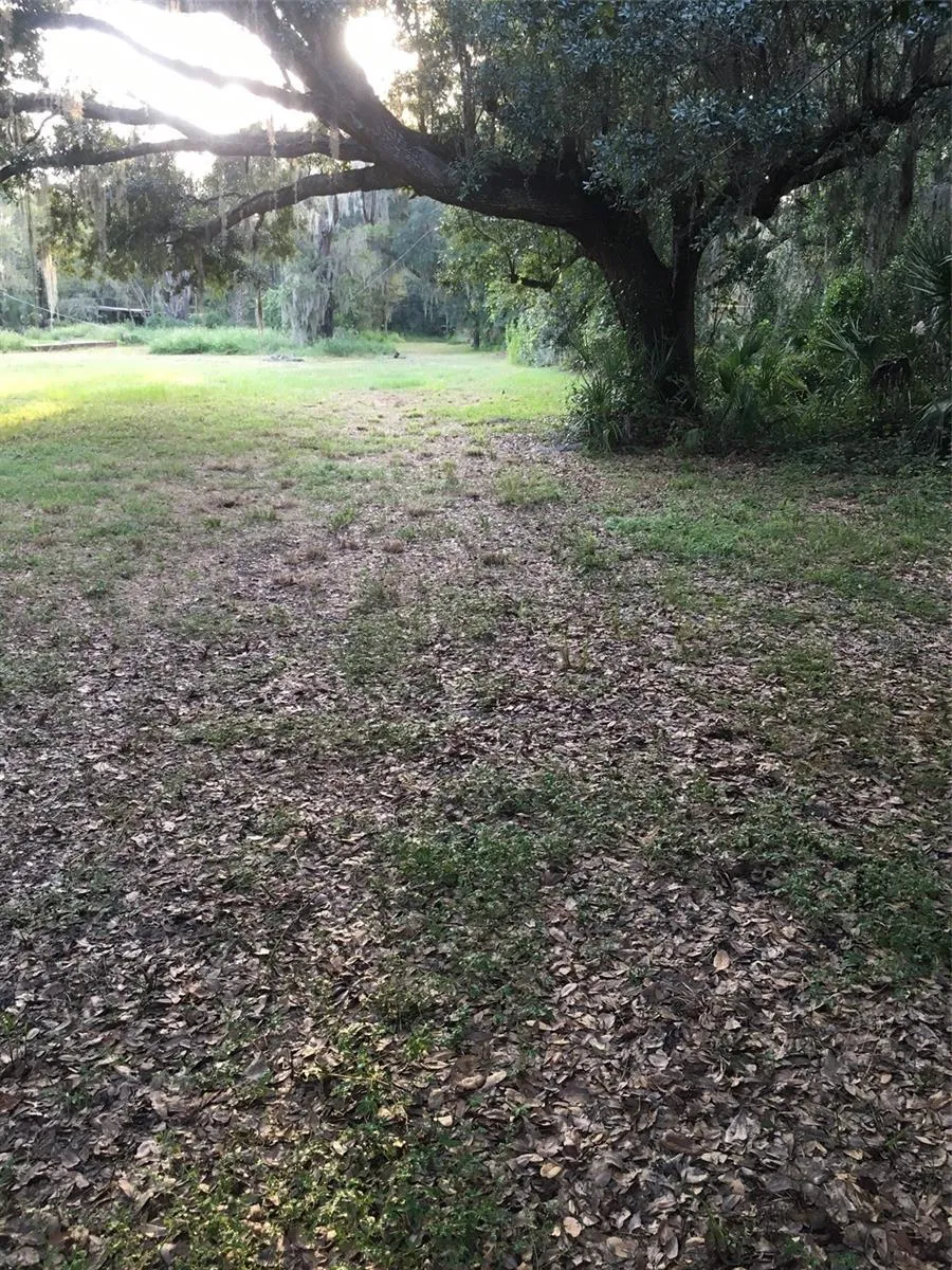 View toward back of lot
