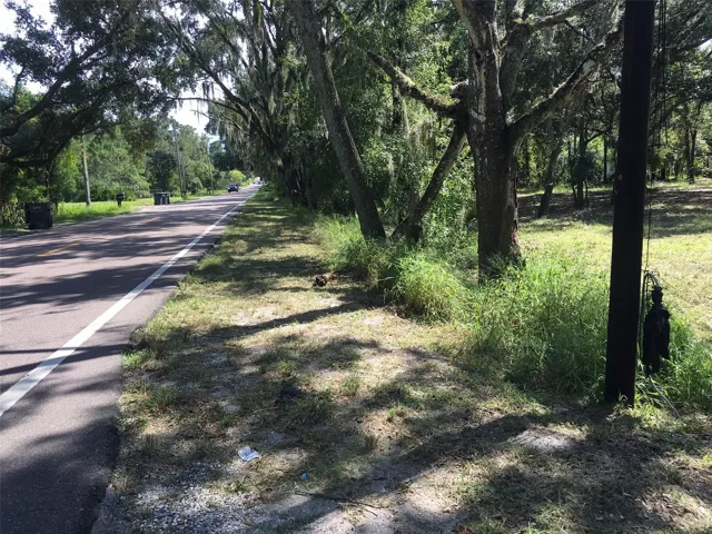 Road View