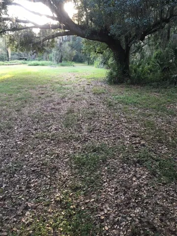 View toward back of lot