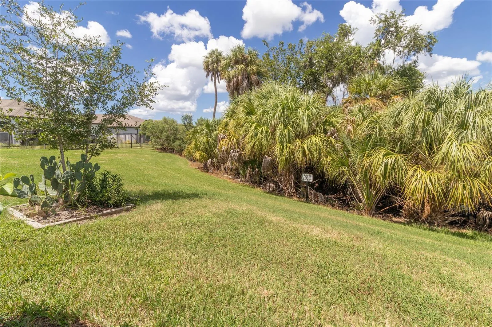 Nature Landscapes - Backyard