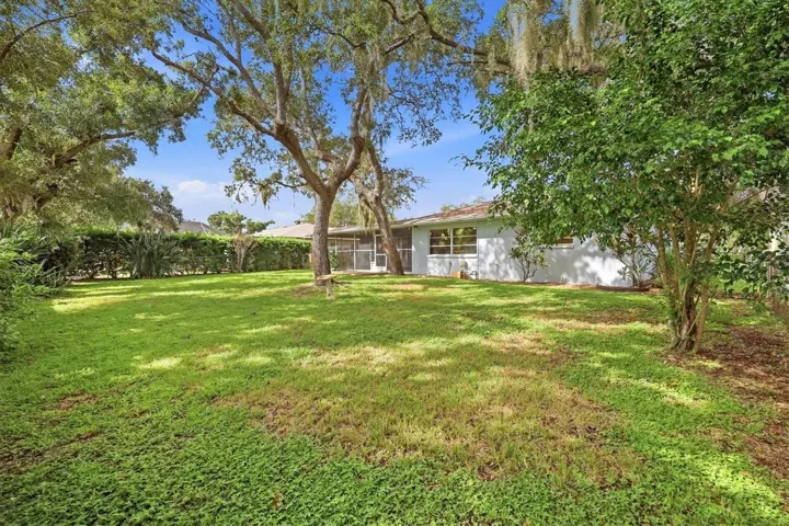 Backyard looking towards house.