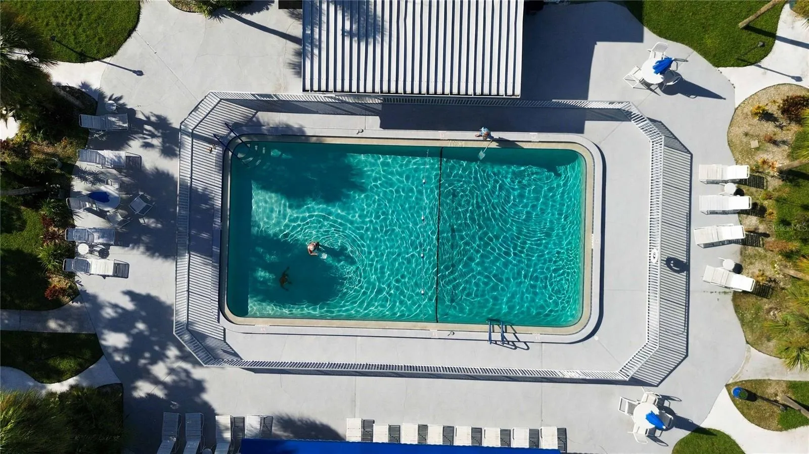 Beautiful pool