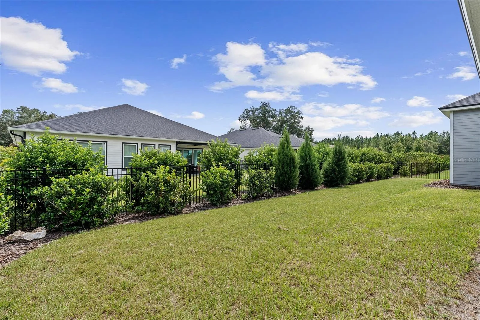 Large Backyard