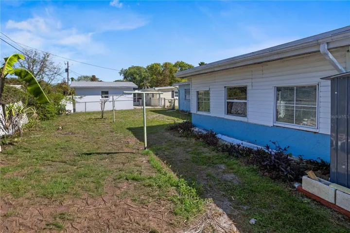 Back yard