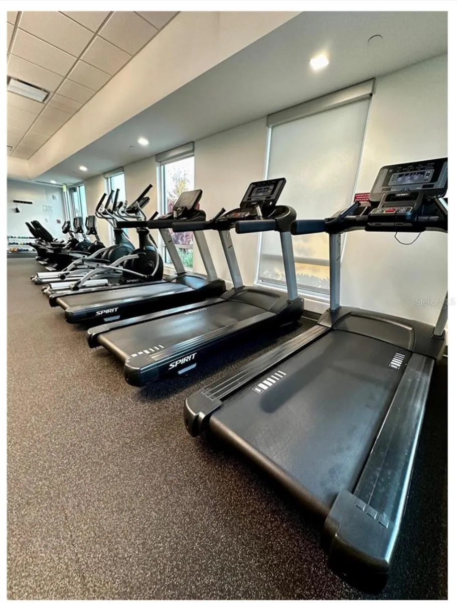 GYM