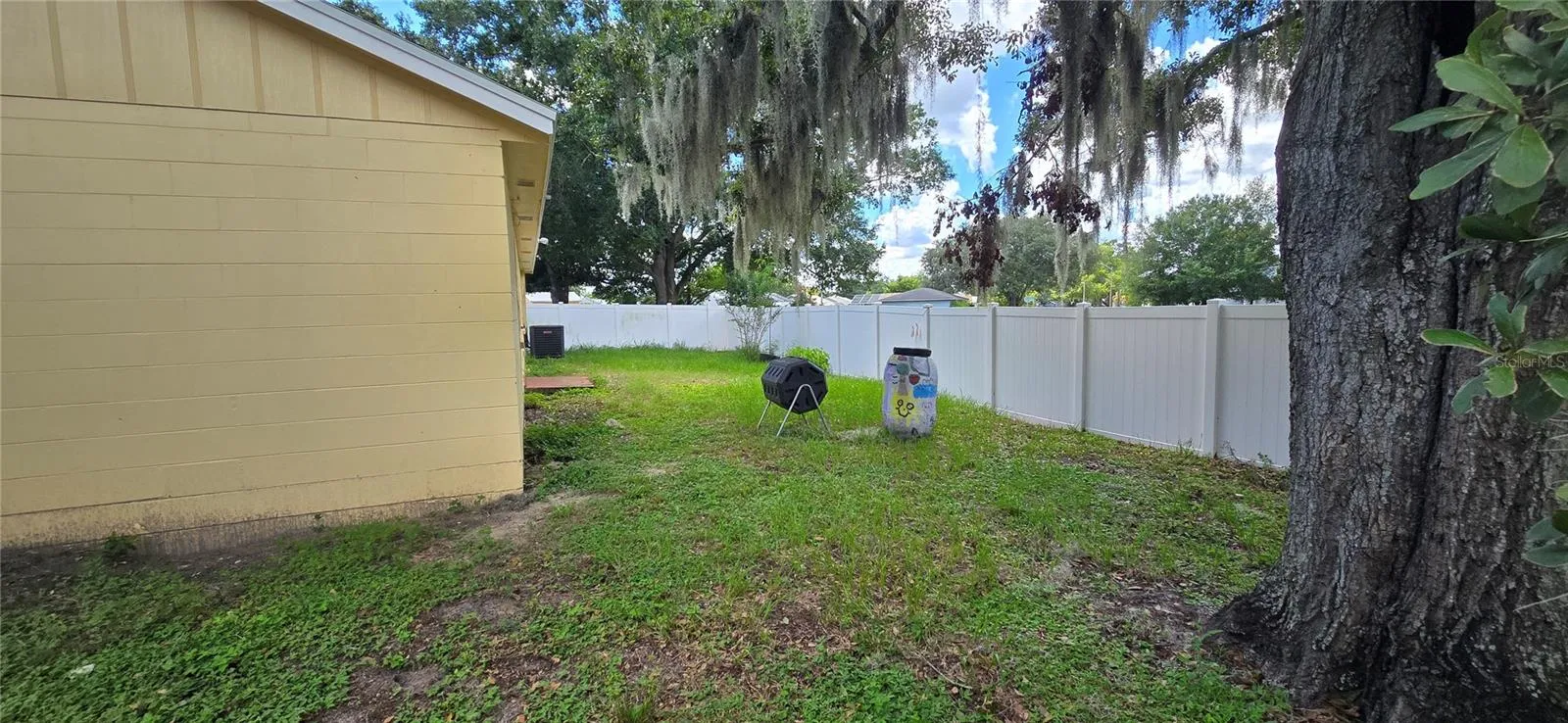 Backyard 3