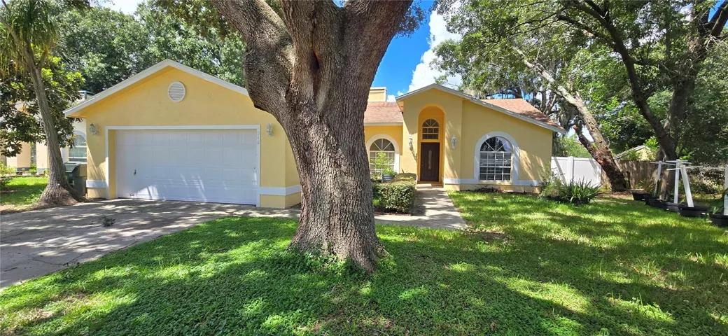 House front picture