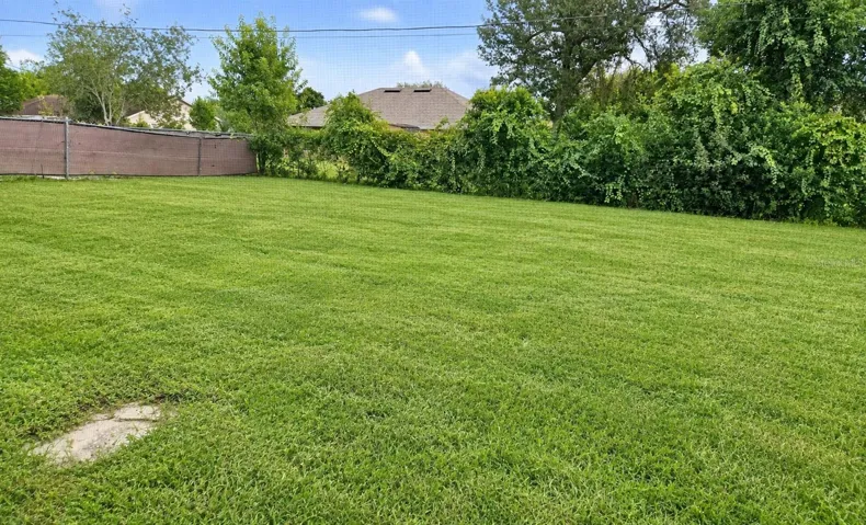 View of the Backyard